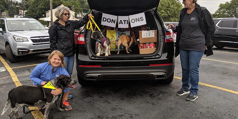 Courtesy Motors in Altoona PA