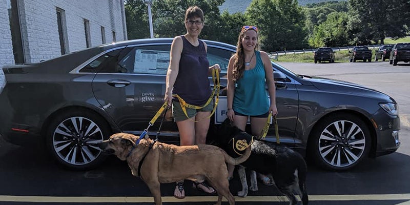 Courtesy Motors in Altoona PA